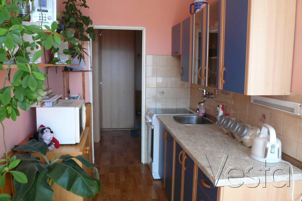 Slunný družstevní byt 2+1 s balkónem v Jílovém u Děčína